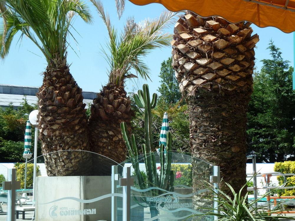 Hotel Cormoran Riccione Eksteriør billede